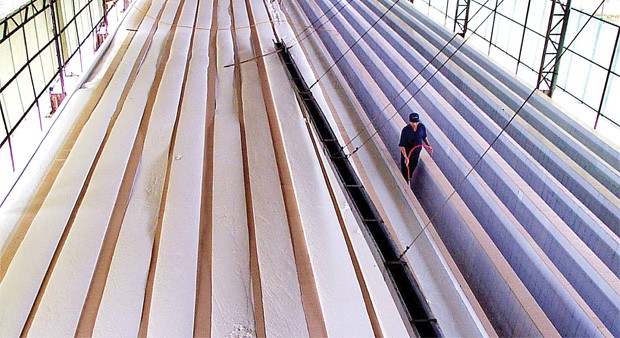 11 tháng, TRC đạt gần 207 tỷ đồng Kl99 nổ hũ